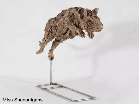 Year of the Rat - Miss Shananigans