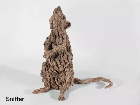 Year of the Rat - Sniffer