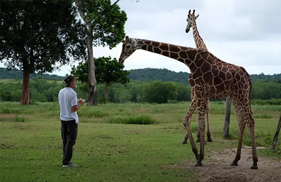 Me communing with an inquisitive giraffe - a great opportunity to sketch anatomical details