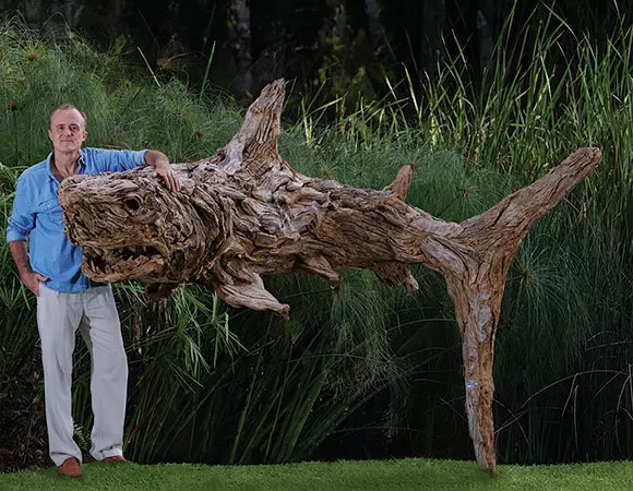 Dexter the Shark has an appetite for gardens