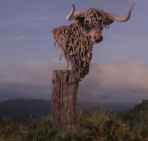 My personal favourite - The Bust of a Highland Cow