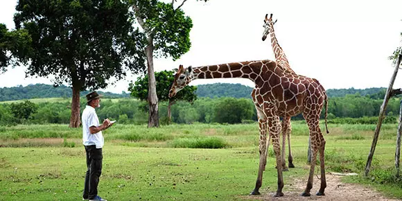 James Doran-Webb with Giraffes in Calauit, Northern Palawan, Philippines