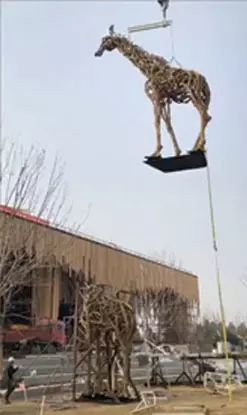 Lifting 4 tonnes of Bull Giraffe!