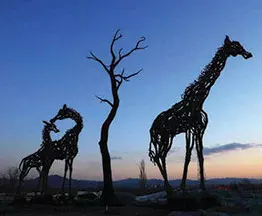 Molly and Her Family of Giraffes in the sunset