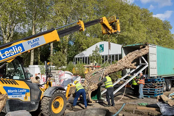 Adam in his telehandler discharges 2 tons of the Tree of Life structure