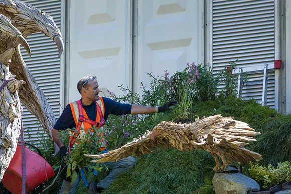 They even got me planting the top of the wall!