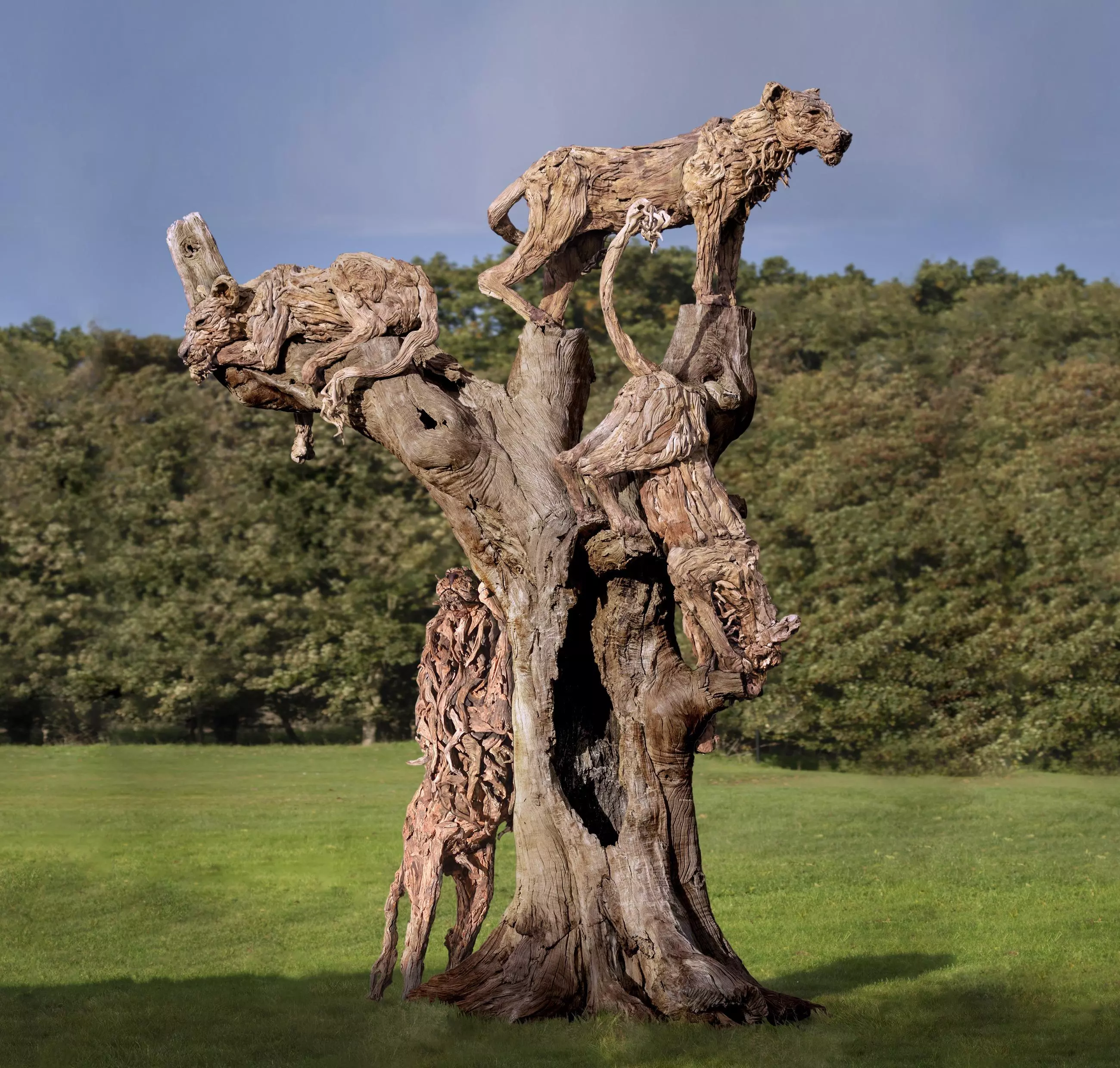 The Tree Climbing Lions of Lake Manyara