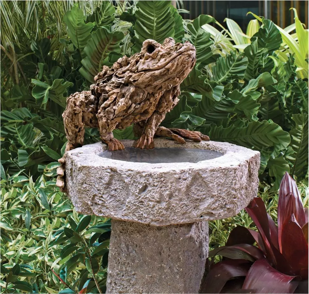 The Guardian of the Bird Bath