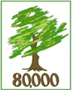 80,000 Trees