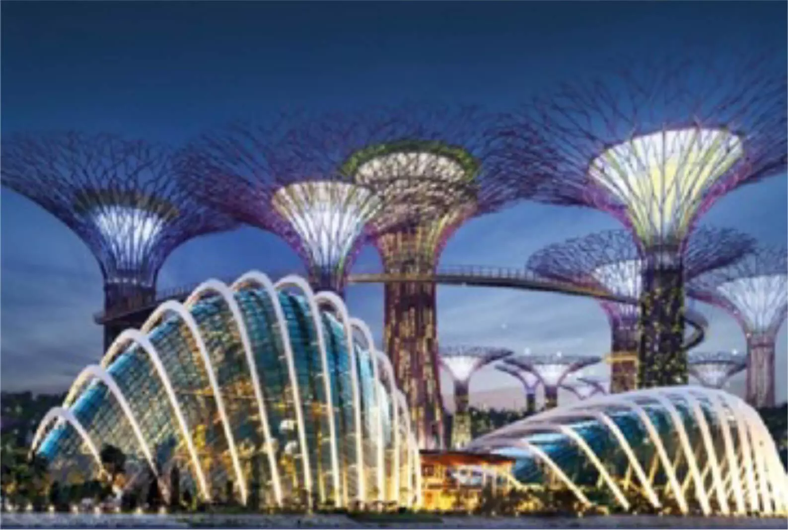 Gardens by the Bay