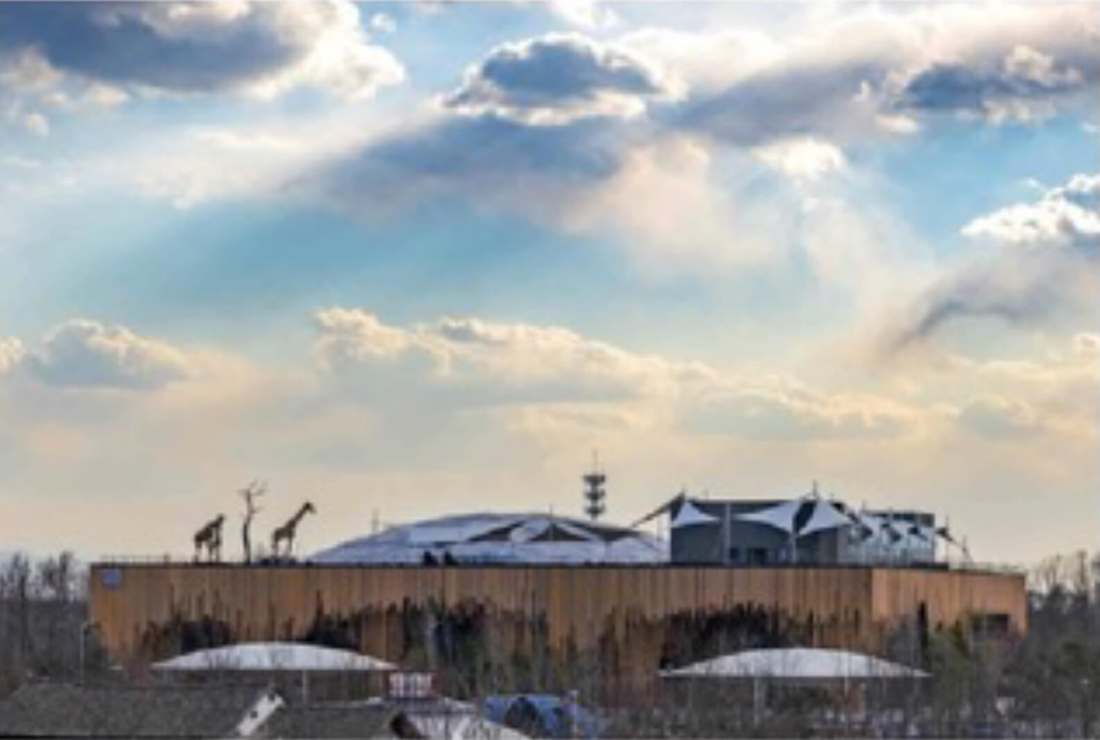 Beijing Expo