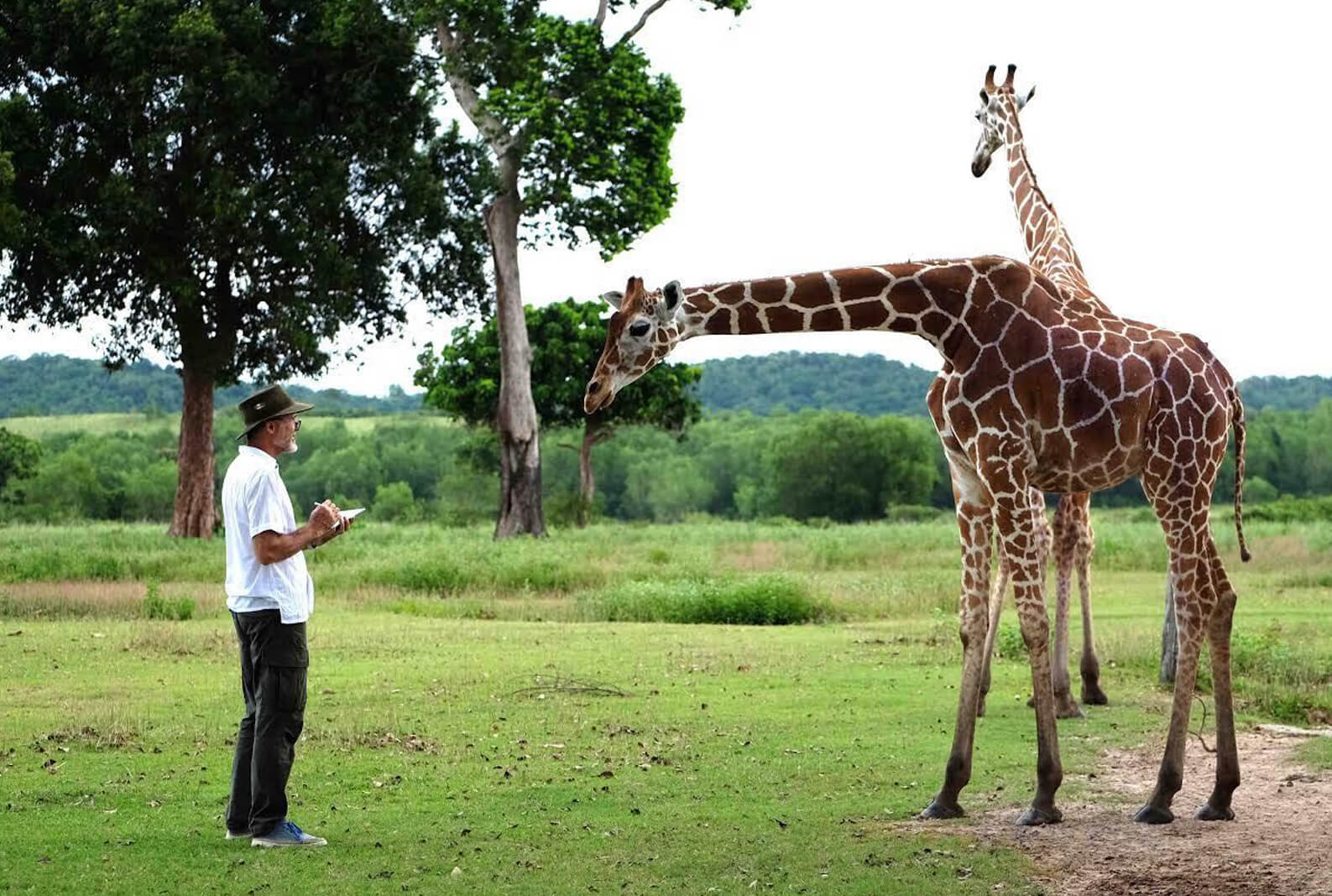 Giraffes and James