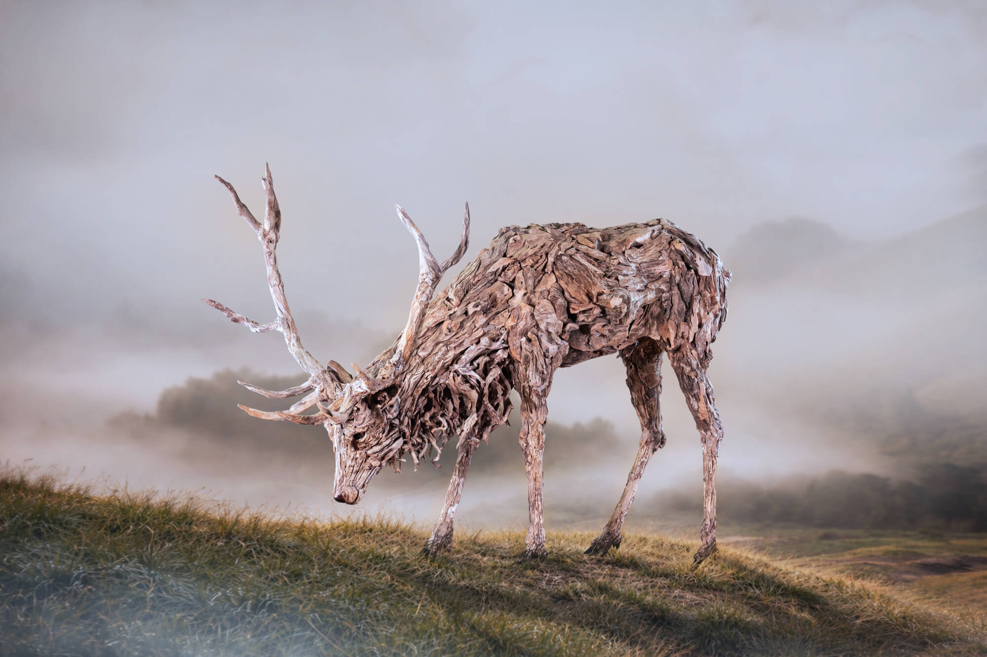 Grazer by James Doran-Webb