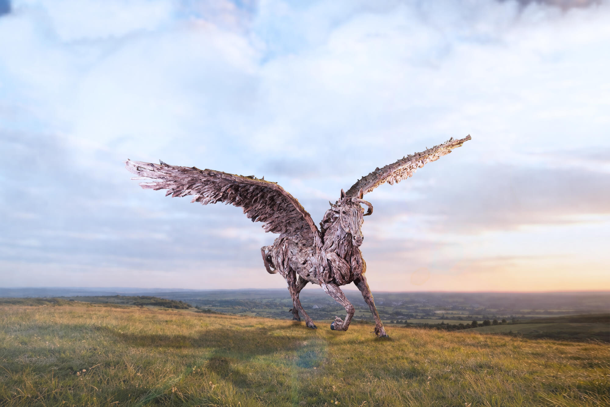 Pegasus by James Doran-Webb